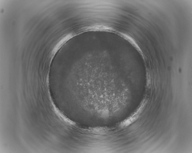 X0000060790946200511171305