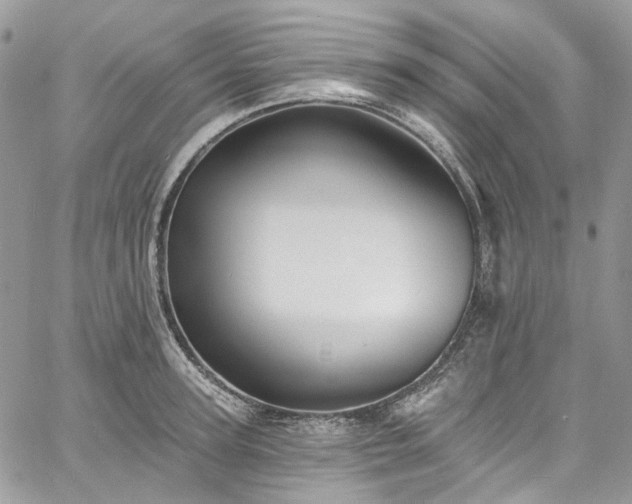 X0000060790947200511171305