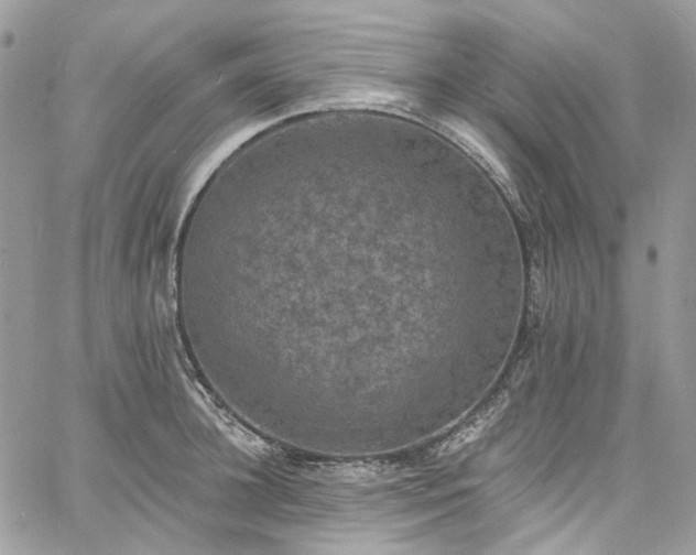 X0000060790948200511171305