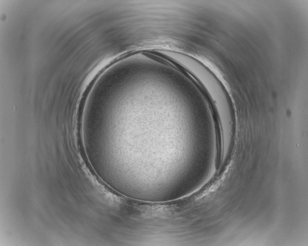 X0000060790949200511171305