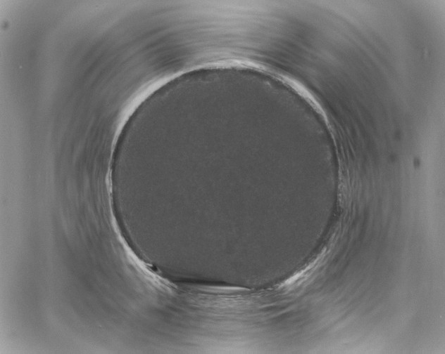 X0000060790951200511171305