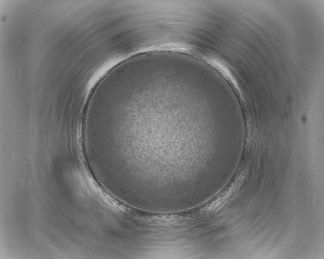 X0000060790952200511171305