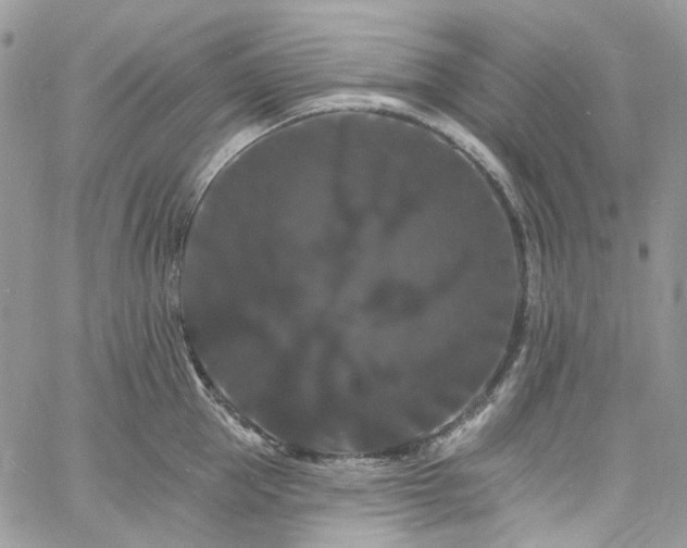 X0000060790953200511171305