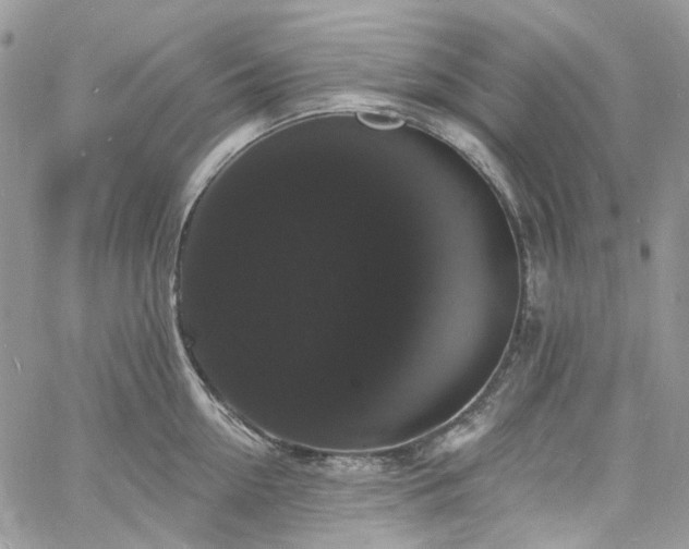 X0000060790954200511171305