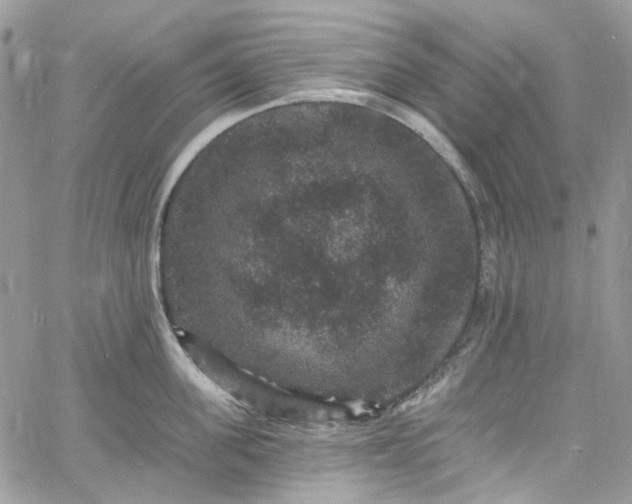 X0000060790955200511171305