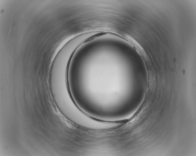 X0000060790956200511171305