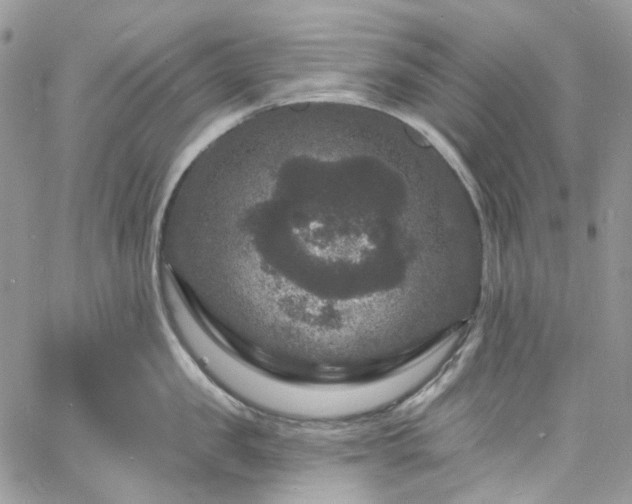 X0000060790957200511171305