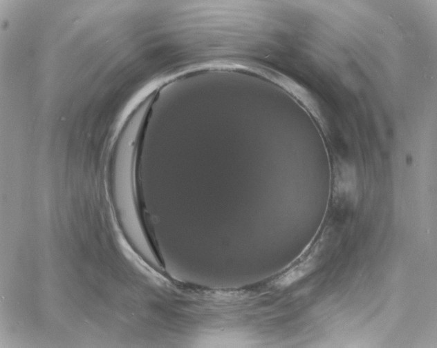 X0000060790958200511171305