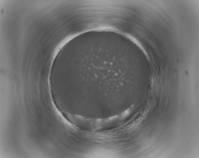 X0000060790959200511171305