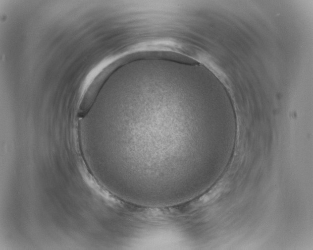 X0000060790960200511171305