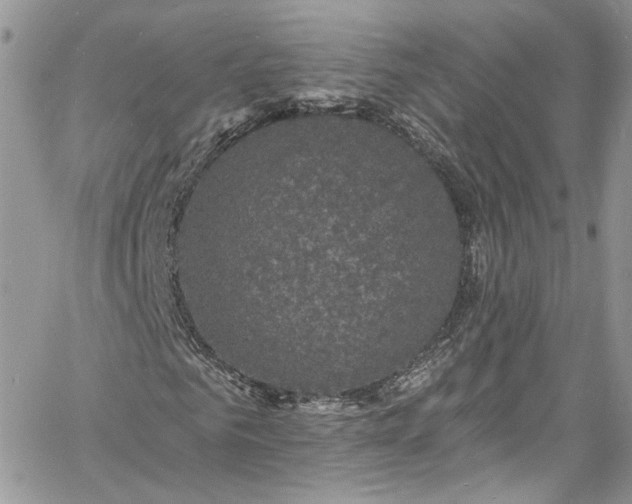 X0000060790961200511171304