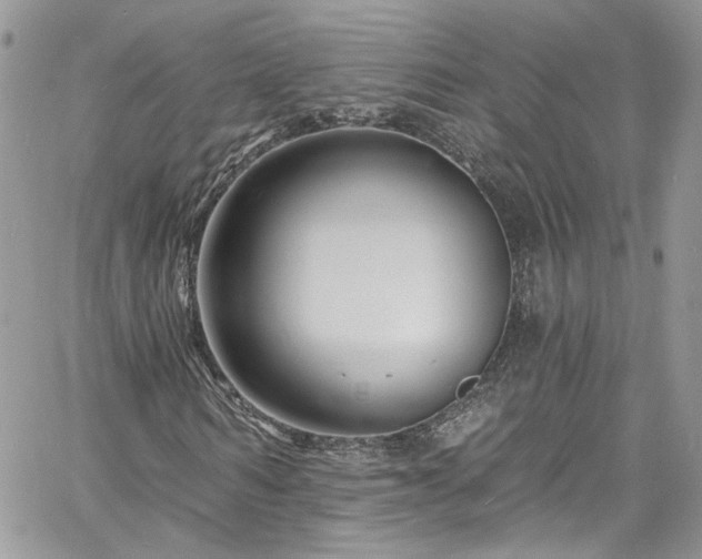 X0000060790962200511171304