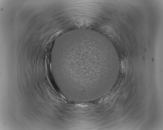 X0000060790963200511171304