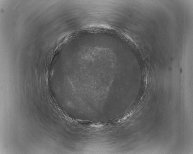 X0000060790965200511171304