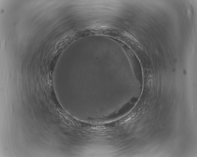 X0000060790966200511171304