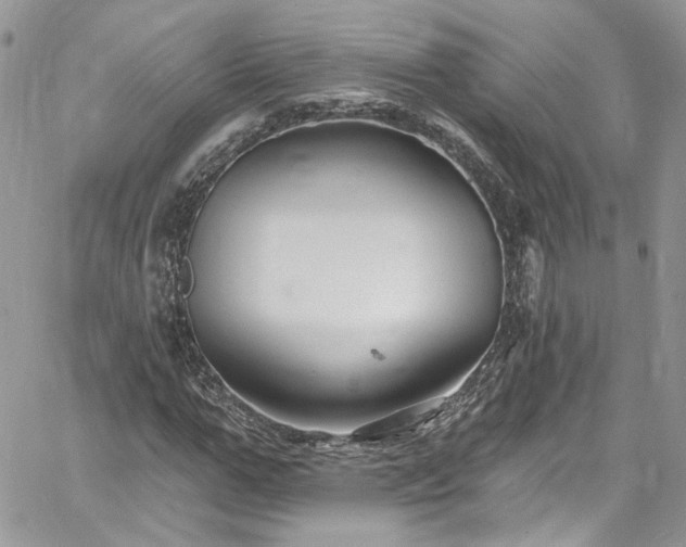 X0000060790967200511171304