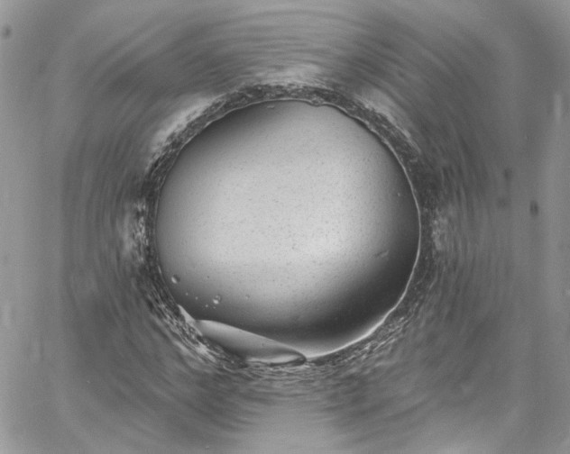 X0000060790968200511171304