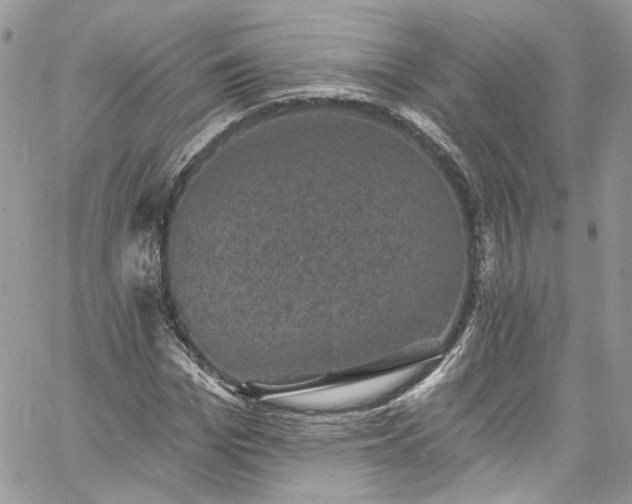 X0000060790969200511171304