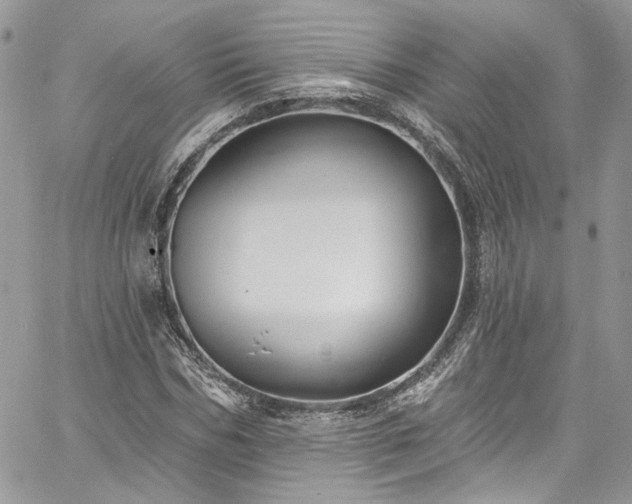 X0000060790970200511171304