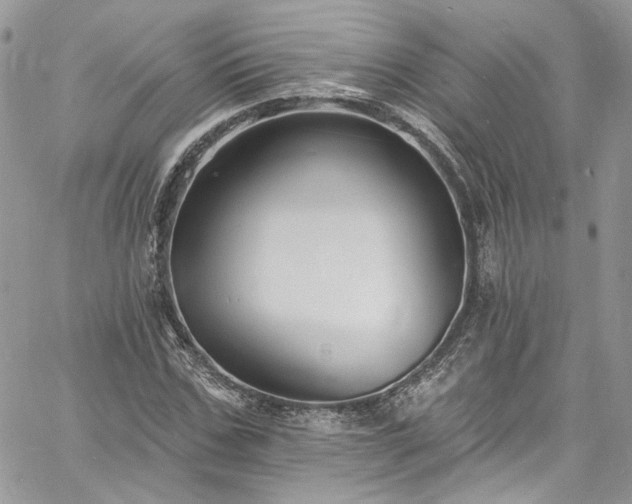 X0000060790971200511171304