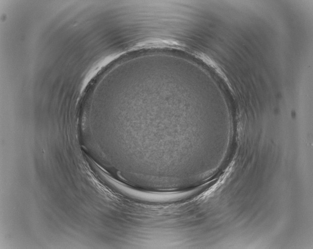 X0000060790973200511171304