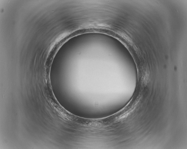 X0000060790974200511171304