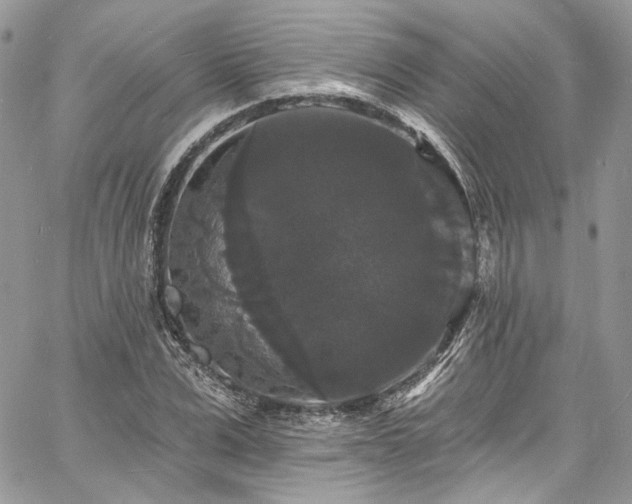 X0000060790975200511171304