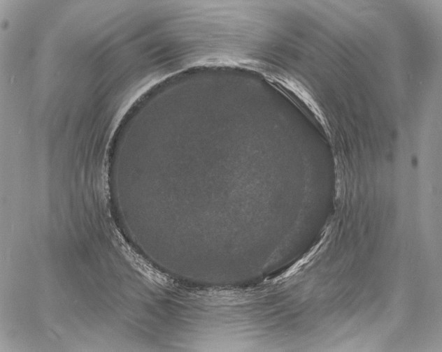 X0000060790976200511171304