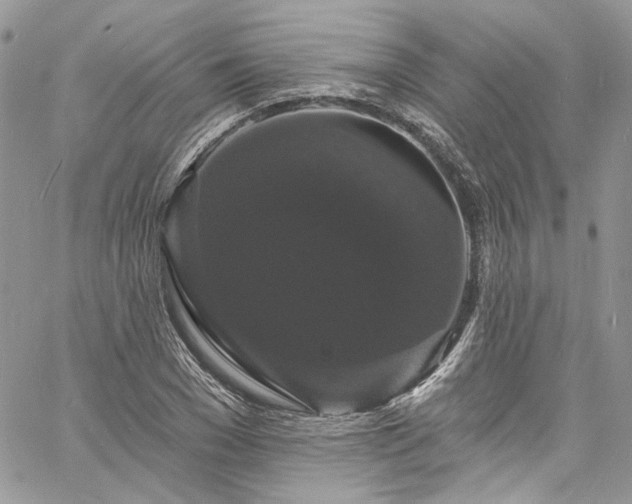 X0000060790977200511171304