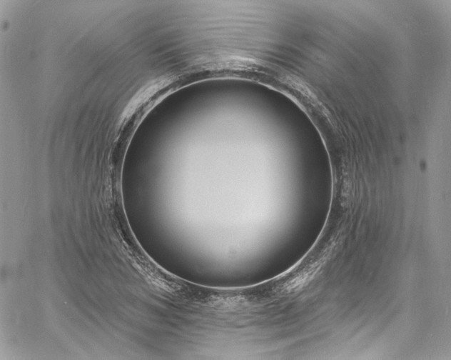 X0000060790978200511171304