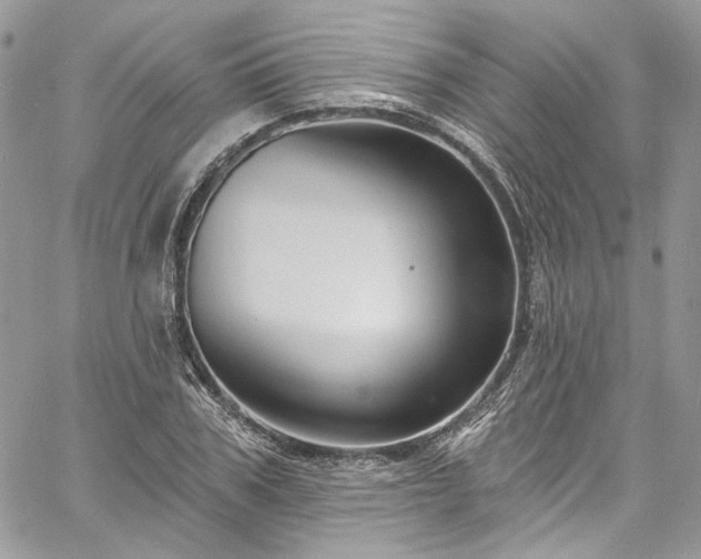 X0000060790979200511171304