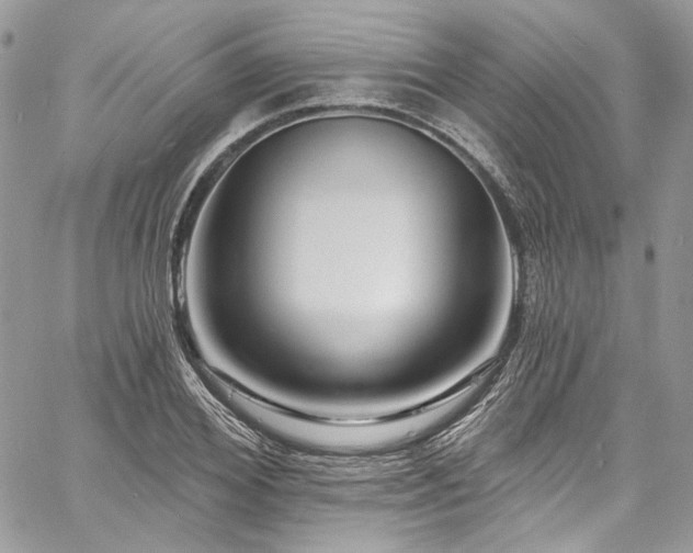 X0000060790980200511171304