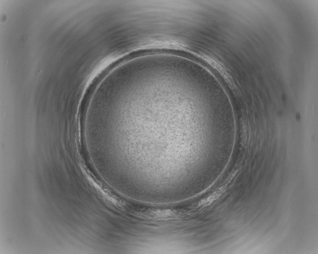 X0000060790982200511171304