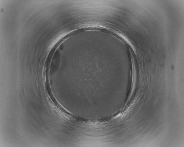 X0000060790983200511171304