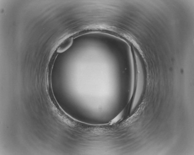 X0000060790984200511171304