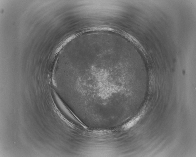 X0000060790985200511171304