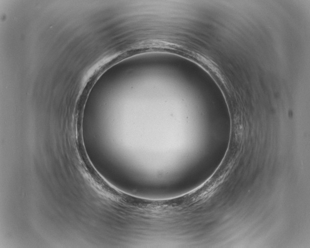 X0000060790987200511171304