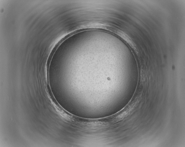 X0000060790988200511171304