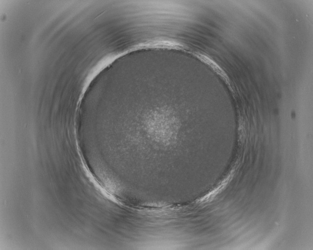 X0000060790989200511171304