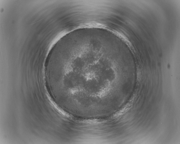 X0000060790990200511171304