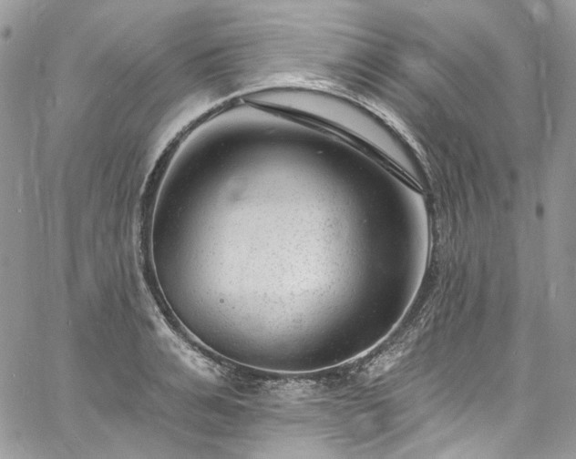 X0000060790991200511171304