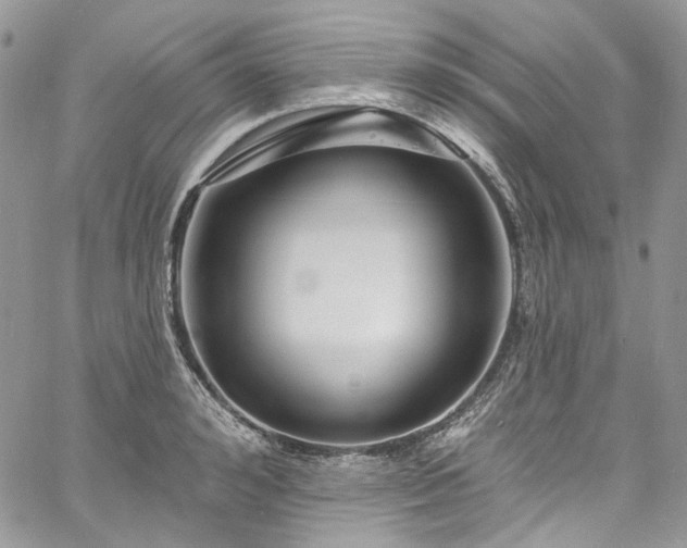 X0000060790992200511171304