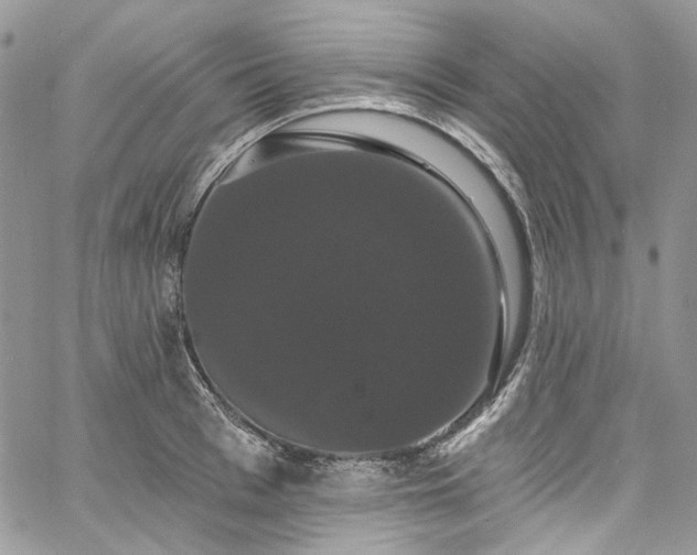 X0000060790993200511171304