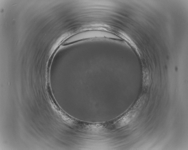 X0000060790994200511171304