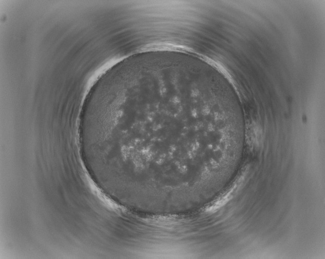 X0000060790995200511171303