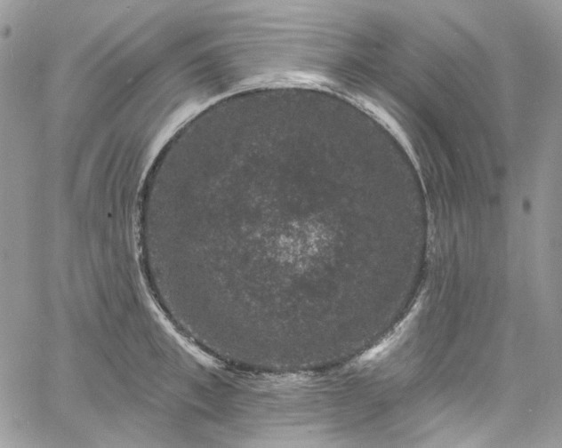 X0000060790997200511171303