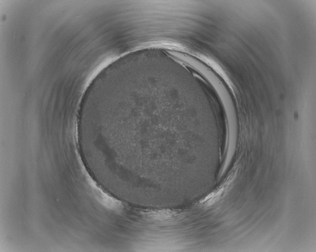 X0000060790999200511171303