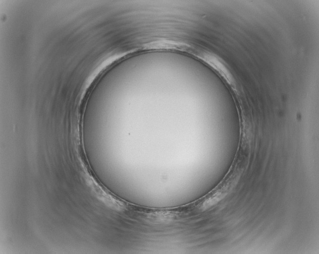 X0000060791000200511171303