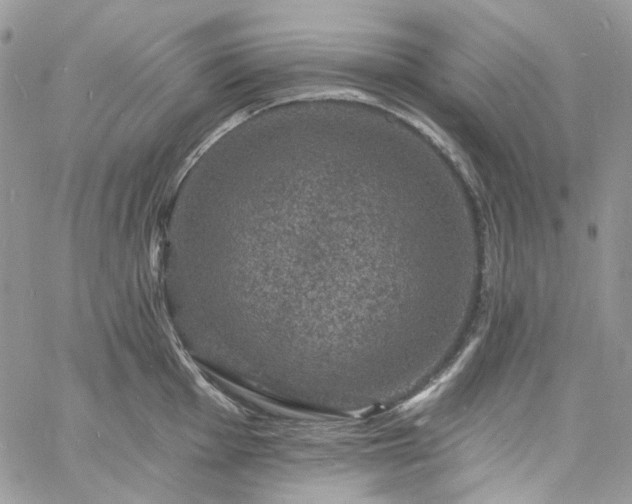 X0000060791001200511171303