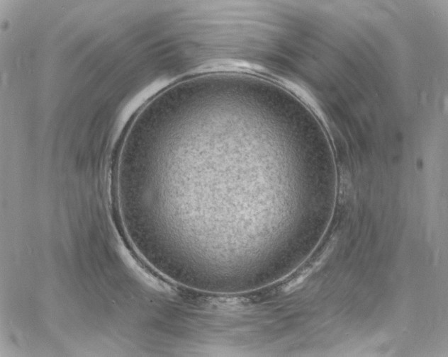 X0000060791003200511171303